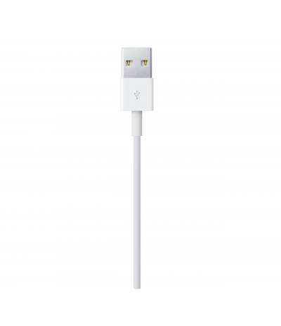 CAVO DATI USB ORIGINALE APPLE PER IPHONE 5 5C 5S 6 6S IPAD MINI MD818FA/A 1mt CAVO DATI USB ORIGINALE APPLE PER IPHONE 5 5C 5S 6 6S IPAD MINI MD818FA/A 1mt