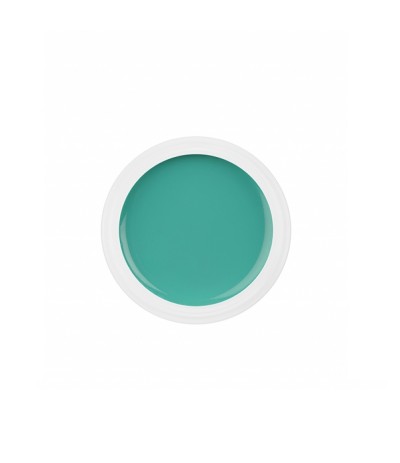 GEL UV COLORATO PURE 5 ML RICOSTRUZIONE UNGHIE COLORE AURORA GREEN VERDE NDED GEL UV COLORATO PURE 5 ML RICOSTRUZIONE UNGHIE COLORE AURORA GREEN VERDE NDED
