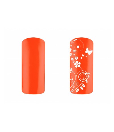 GEL UV COLORATO PURE 5ML RICOSTRUZIONE UNGHIE COLORE STRAIGHT ORANGE ARANCIO NDED GEL UV COLORATO PURE 5ML RICOSTRUZIONE UNGHIE COLORE STRAIGHT ORANGE ARANCIO NDED
