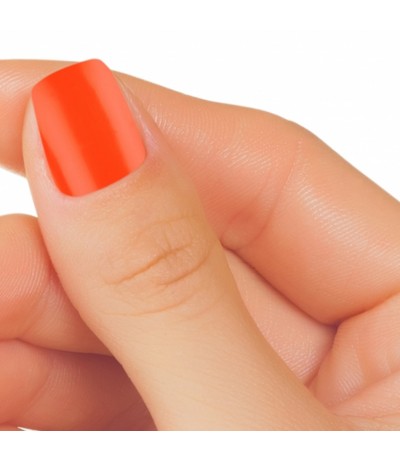 GEL UV COLORATO PURE 5ML RICOSTRUZIONE UNGHIE COLORE STRAIGHT ORANGE ARANCIO NDED GEL UV COLORATO PURE 5ML RICOSTRUZIONE UNGHIE COLORE STRAIGHT ORANGE ARANCIO NDED